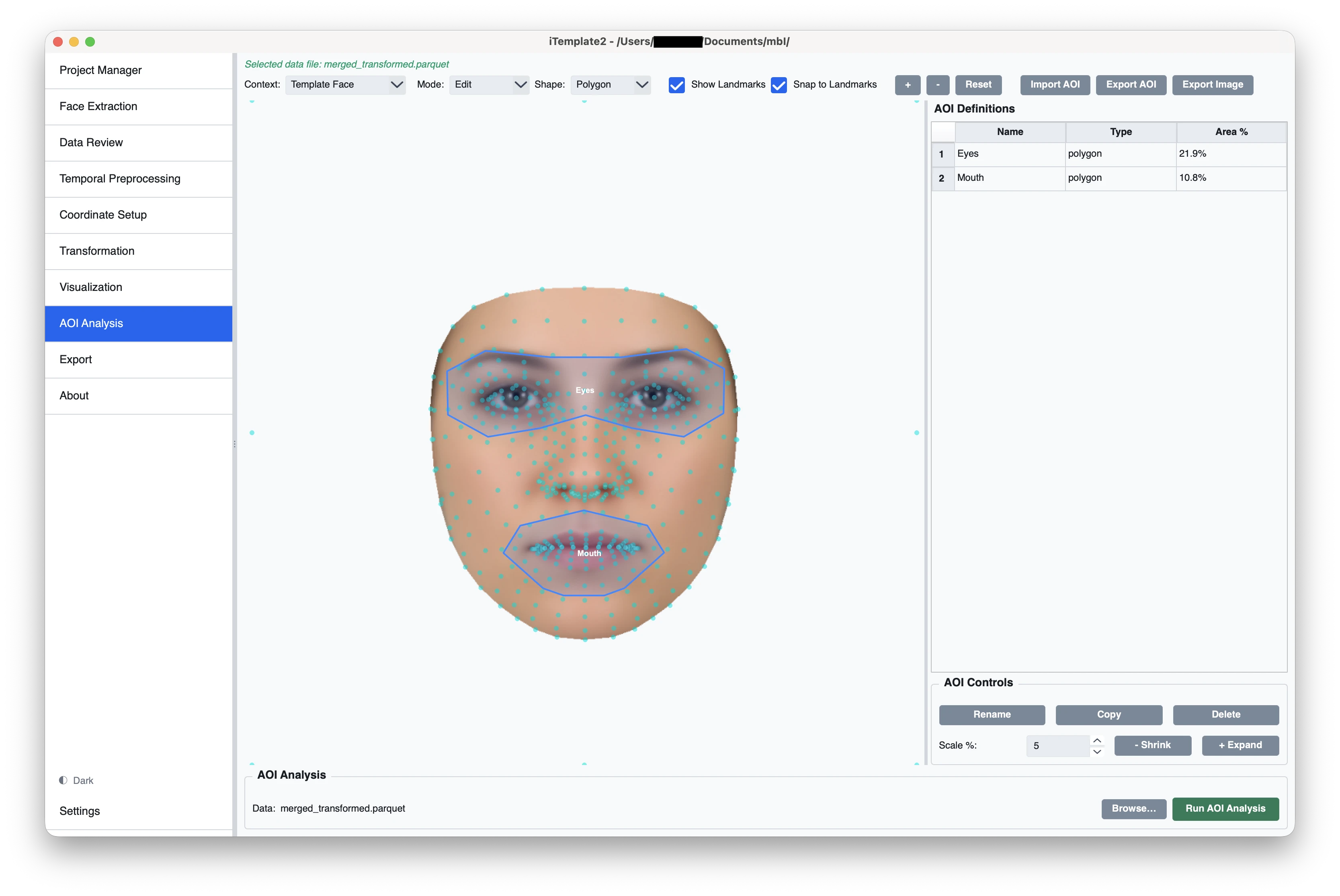 iTemplate2 area-of-interest analysis interface for face-looking data