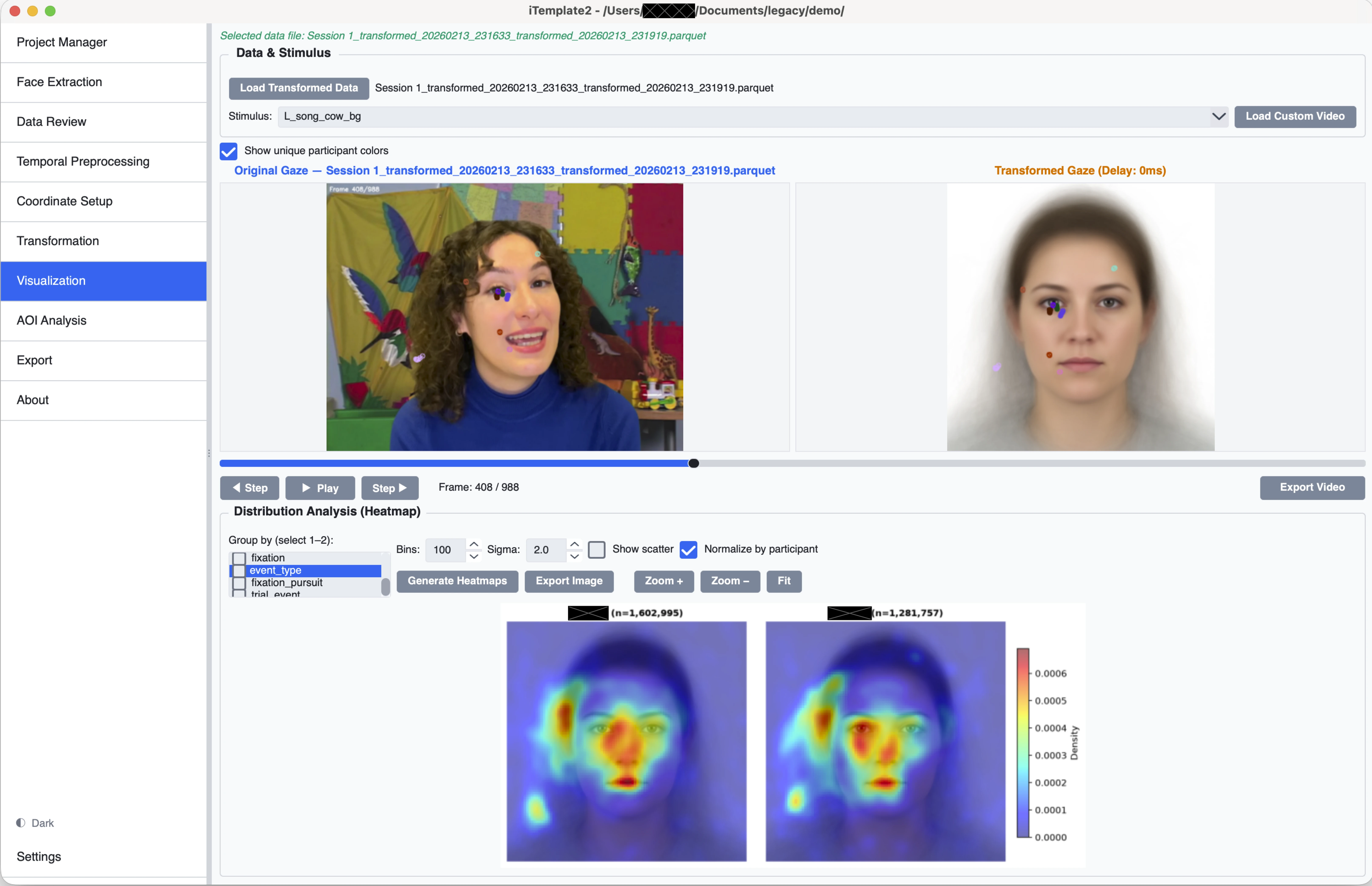 iTemplate2 gaze mapping visualization